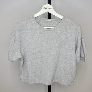 Aritzia Gray Short Sleeve Tee